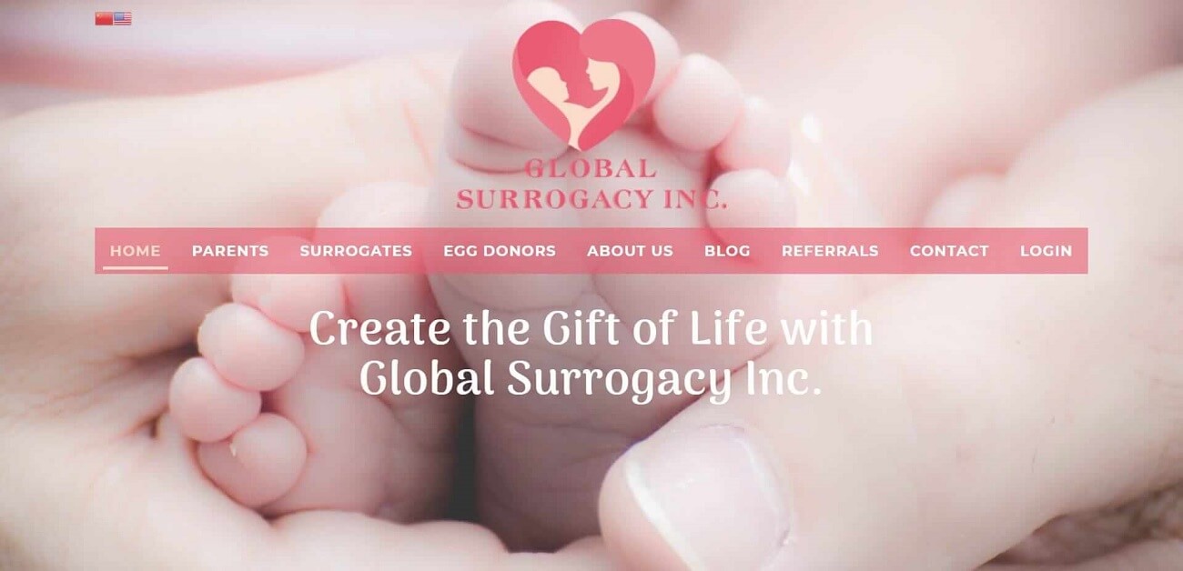 Global Surrogacy