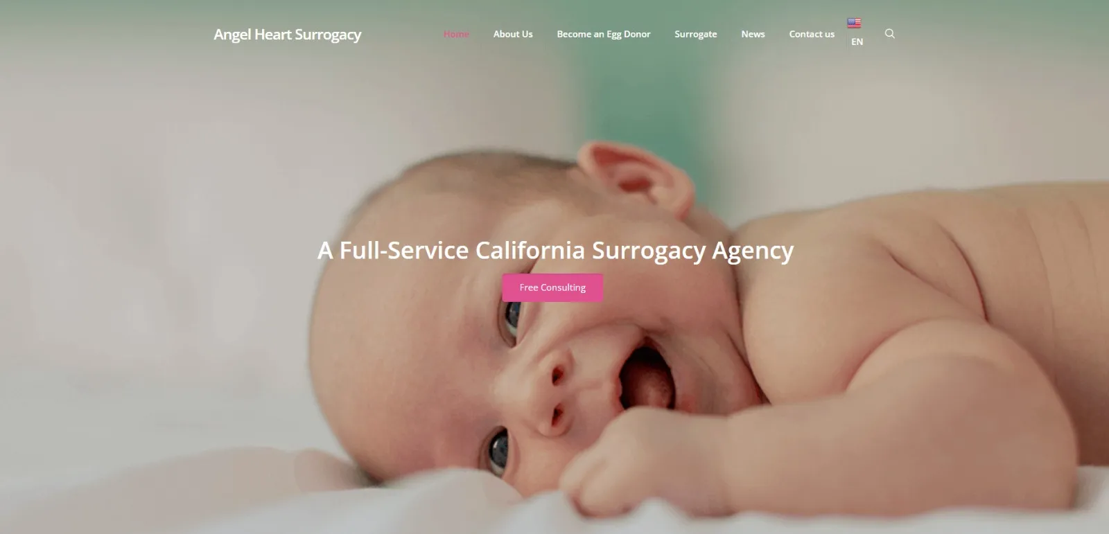 angel heart surrogancy